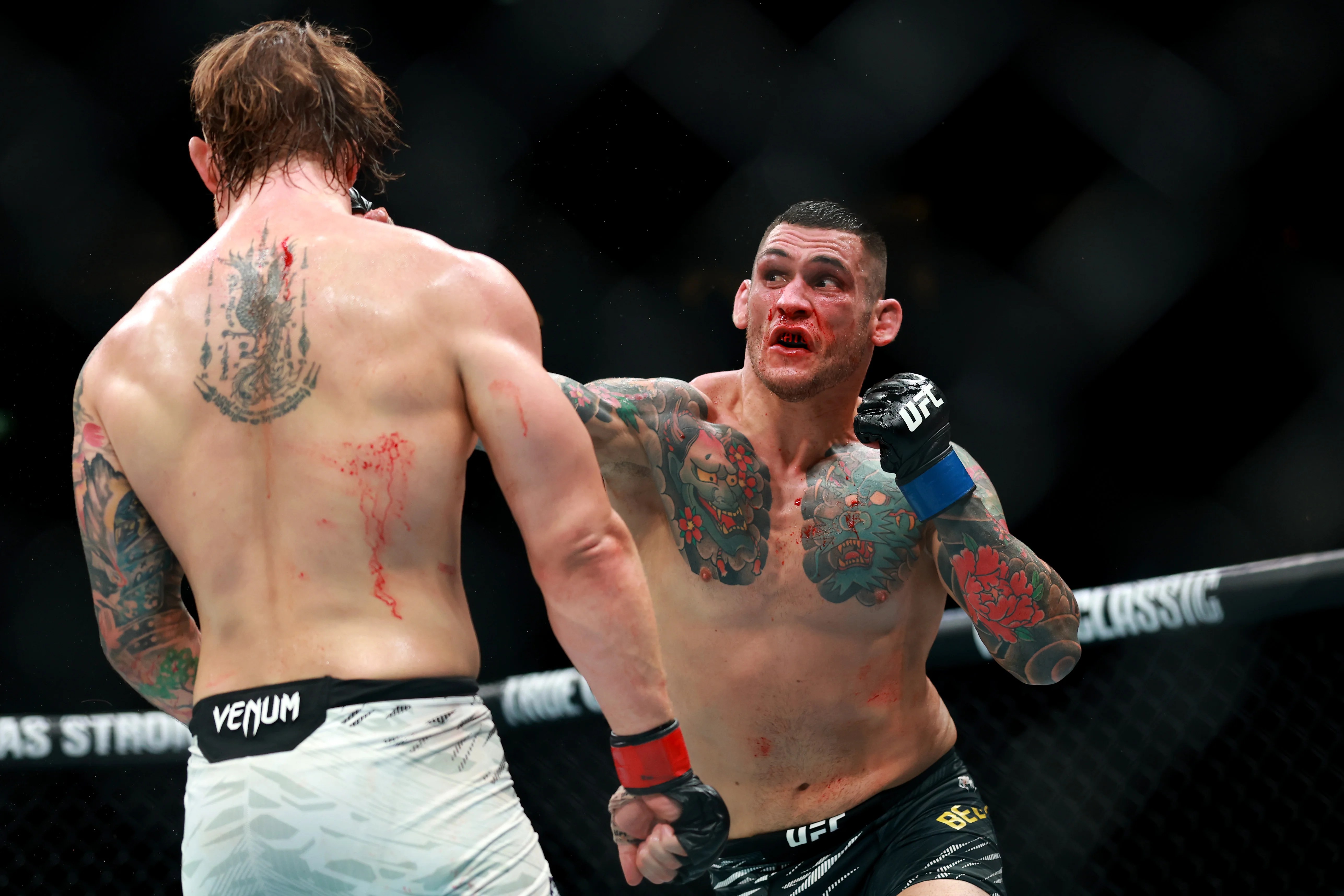 Rodolfo Bellato: UFC fighter accused of faking KO explains bizarre reaction to kick Rodolfo Bellato: UFC fighter accused of faking KO explains bizarre reaction to kick