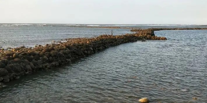 端午龍舟競賽即將登場 楊文科邀民眾來趟新豐小旅行