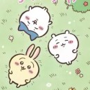 Chiikawa Episode 119 English Subbed