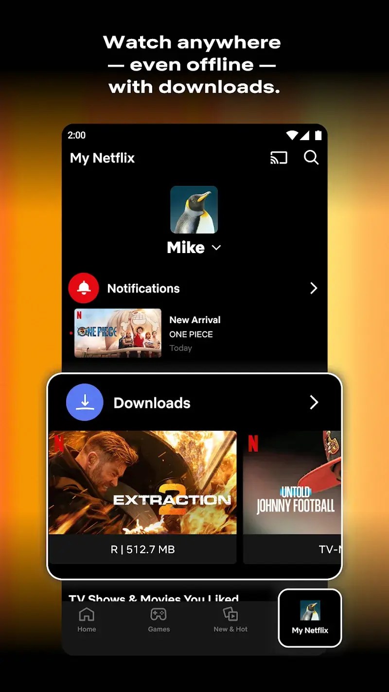 netflix mod apk premium 2024