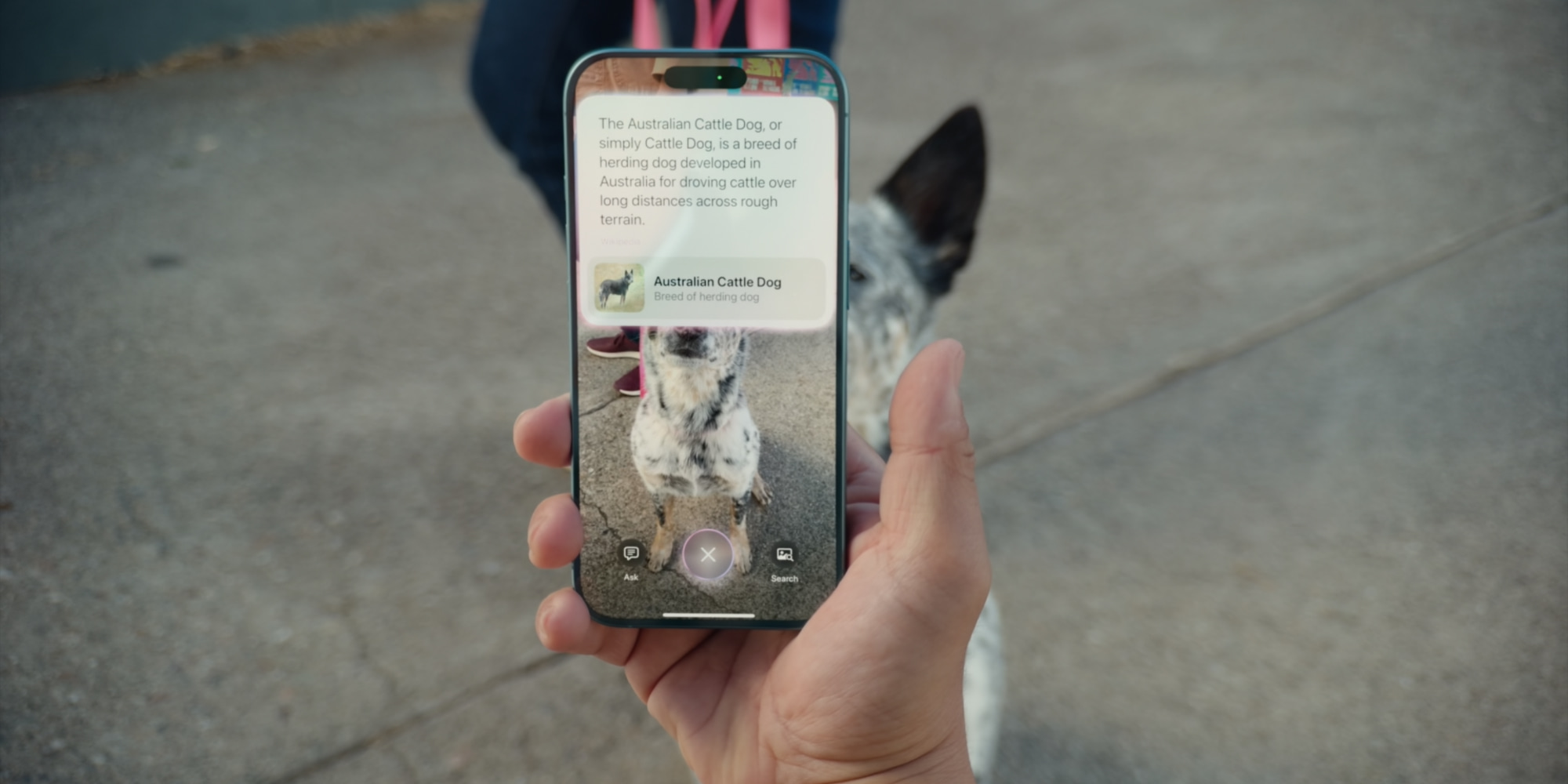 Visual Intelligence feature coming to iPhone 15 Pro with a future iOS update