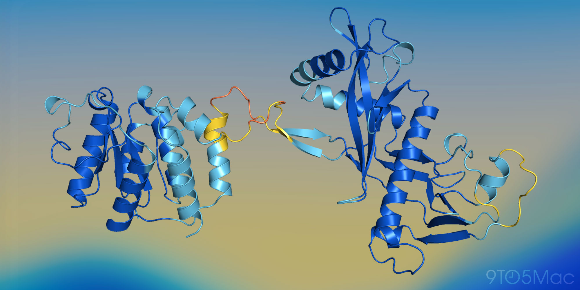 Apple researchers develop SimpleFold, a lightweight AI for protein folding prediction