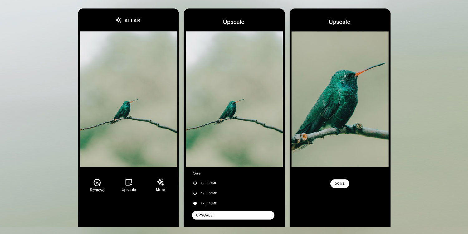 VSCO AI Lab can now upscale images up to 4 times