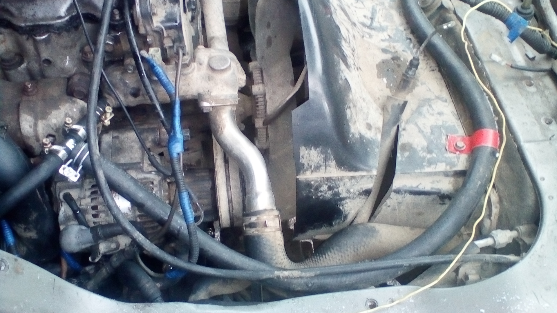 1284x2122 efe854bb44d0c4ea7901b9e39830d6c57f9ddbdfd2f90ace - putmega