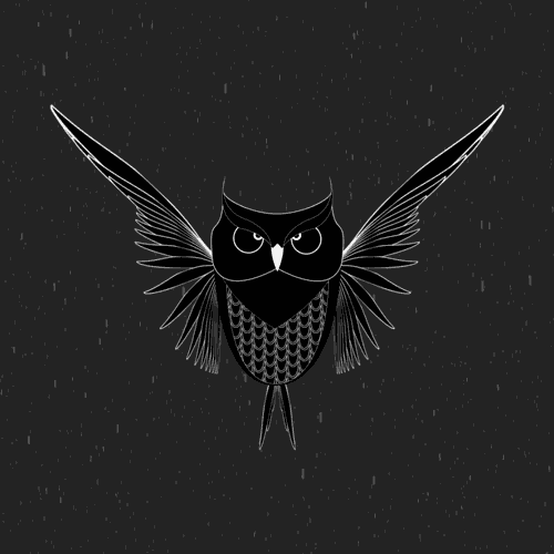 Owls On Animated Gif Images Funny And Cute Owlets