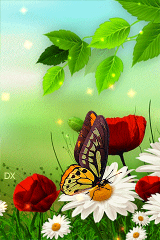 Le Gif Animate Con Bellissime Farfalle 120 Immagini Animate