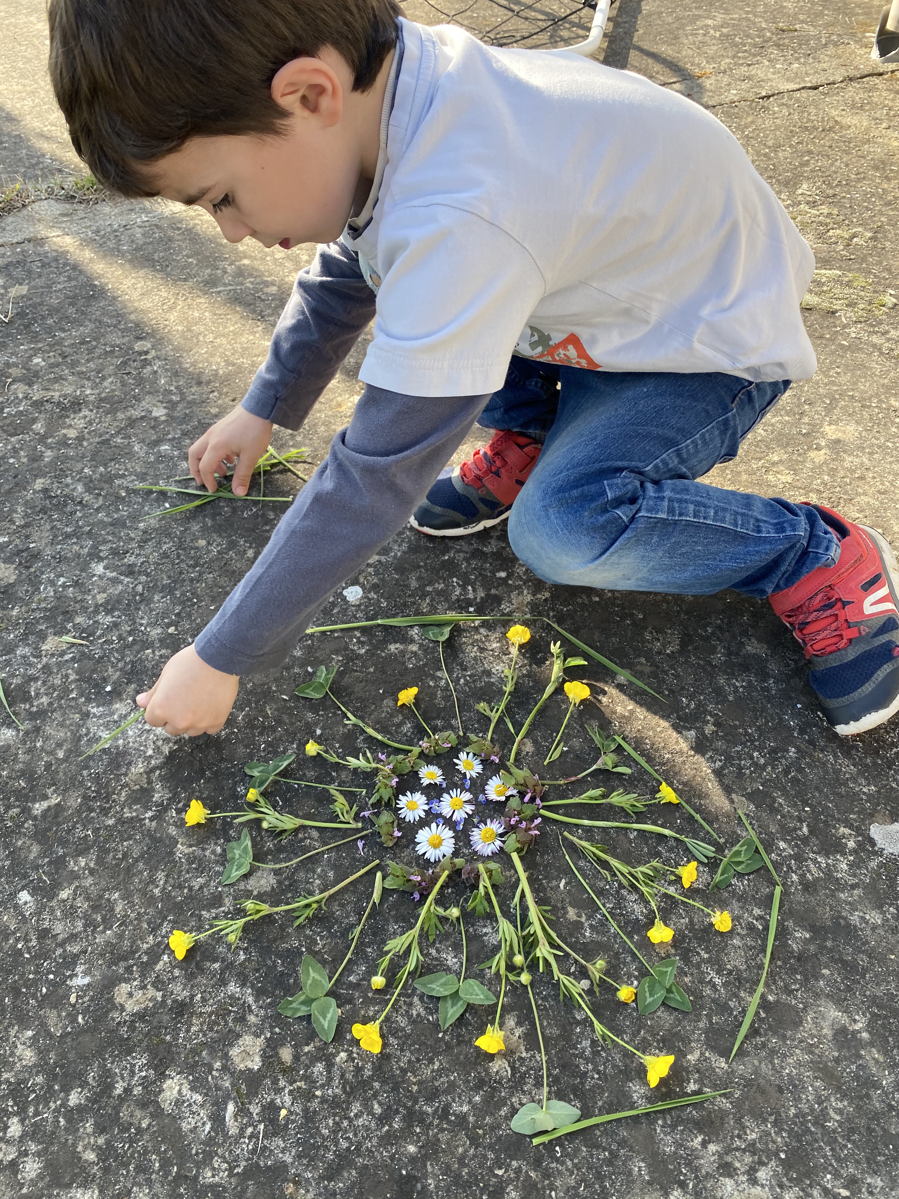 Land Art Et Mandalas Activites A La Maison