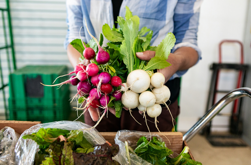 5 Healthy Reasons Why Turnips Deserve a Starring Role in Your Winter Cooking