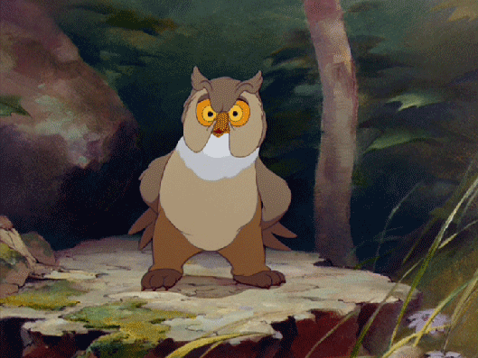 January 2012 A Dream A Week