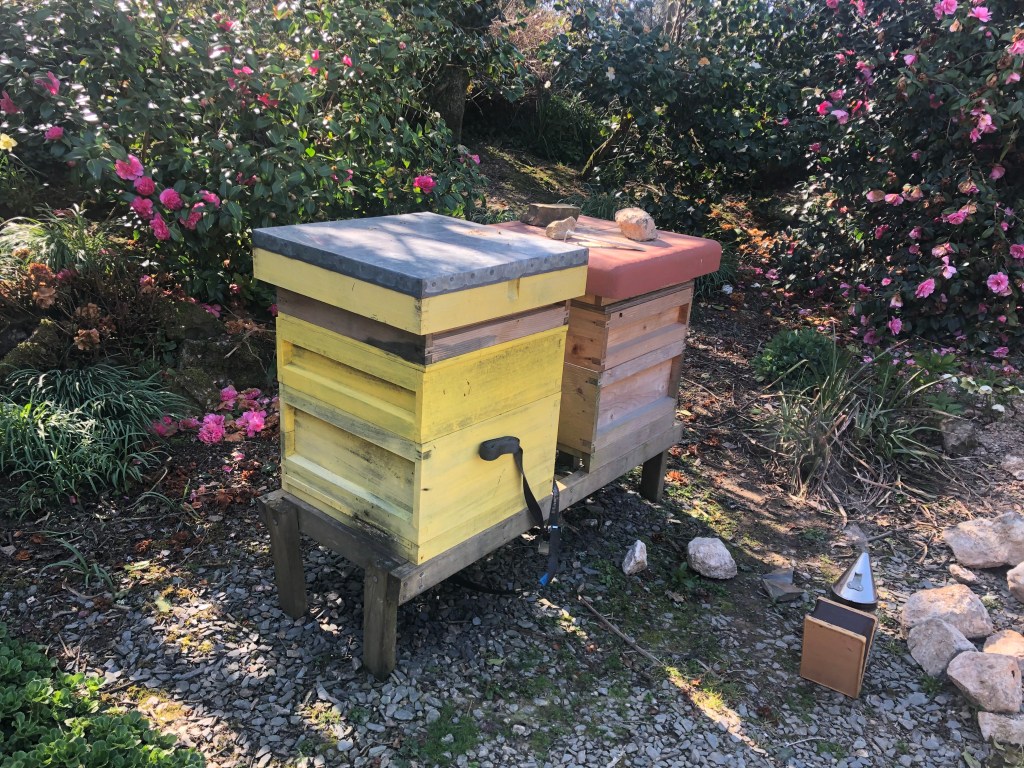 First inspections of the spring
