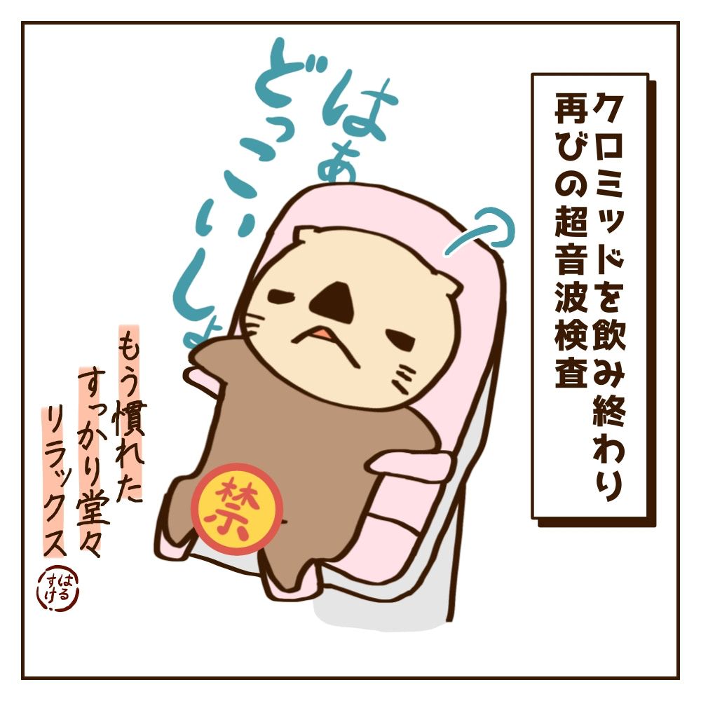 2ページ目（2ページ中） | 排卵誘発剤クロミッドをはじめて飲んだみたら…10代の経験を思い出した件【10歳差夫婦の妊活体験記】 |  不妊治療・妊活のクリニック探し・情報収集ならあかほし（赤ちゃんが欲しい）