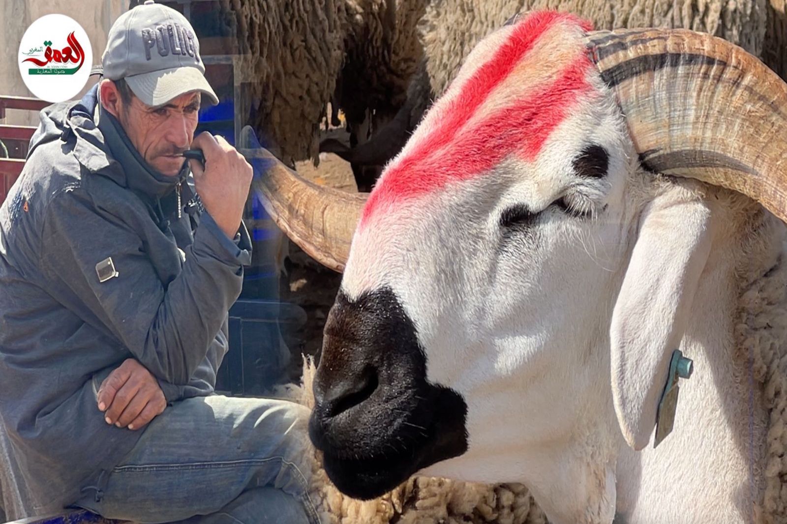 سيدي بنور