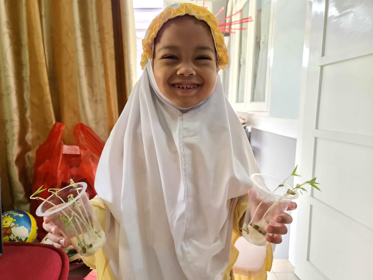 Science Project: Menanam Kecambah Bersama Ibu Guru Di Rumah | AL HARAKI –  Sekolah Islam Terpadu