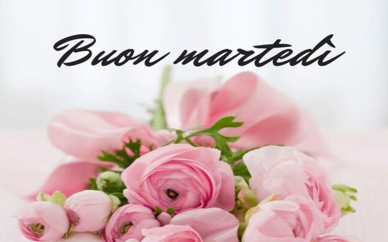 Frasi E Immagini Buongiorno E Buon Martedi Le Piu Belle Dell 11 Maggio 2021 Alphabetcity
