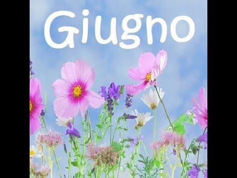 Frasi E Immagini Buongiorno E Benvenuto 1 Giugno 2021 Alphabetcity
