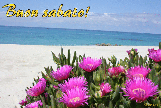 Frasi E Immagini Buongiorno E Buon Sabato Le Piu Belle Del 3 Luglio 2021 Alphabetcity