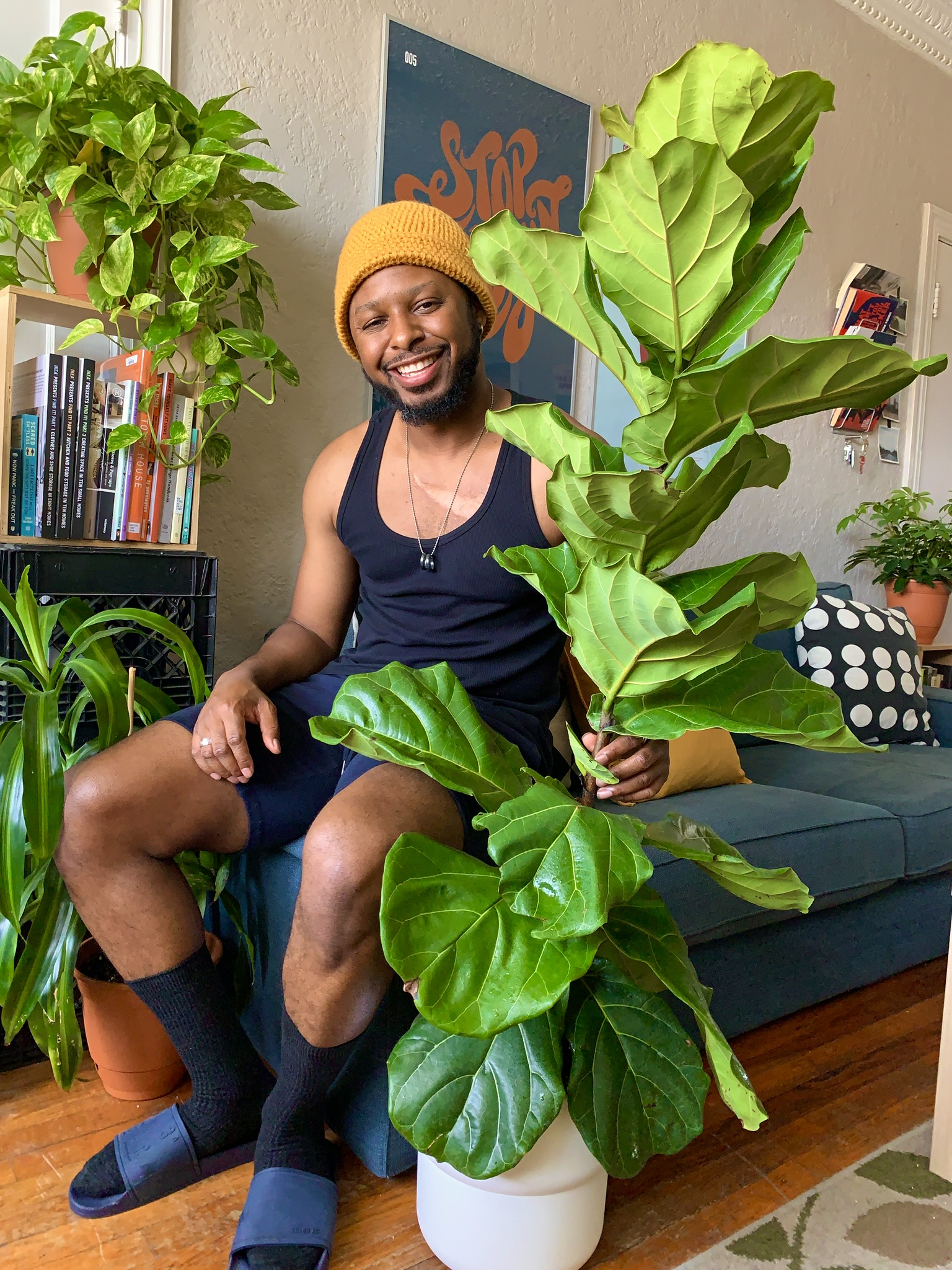Plant zaddy