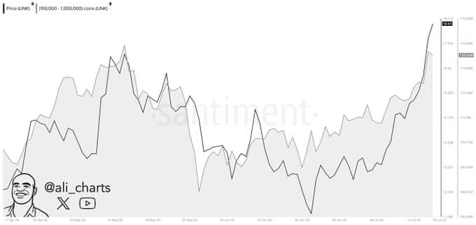 Chainlink (LINK) Whales activity