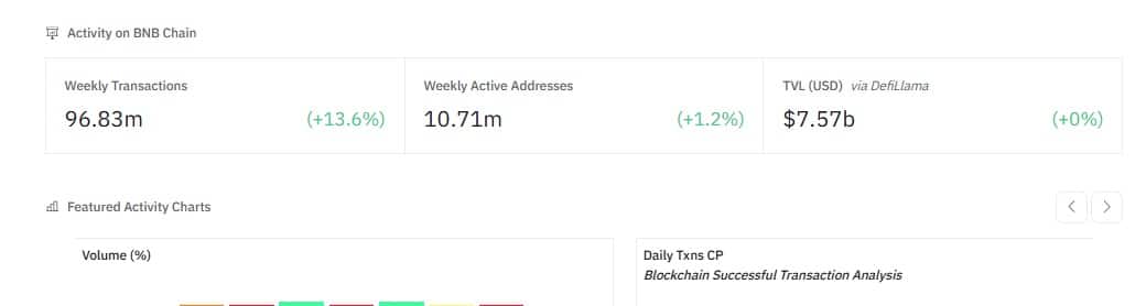 BNB transactions and addresses