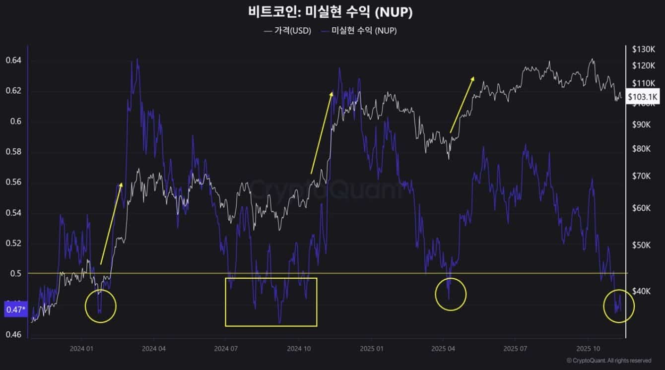 Bitcoin Net Unrealized Profit (NUP)