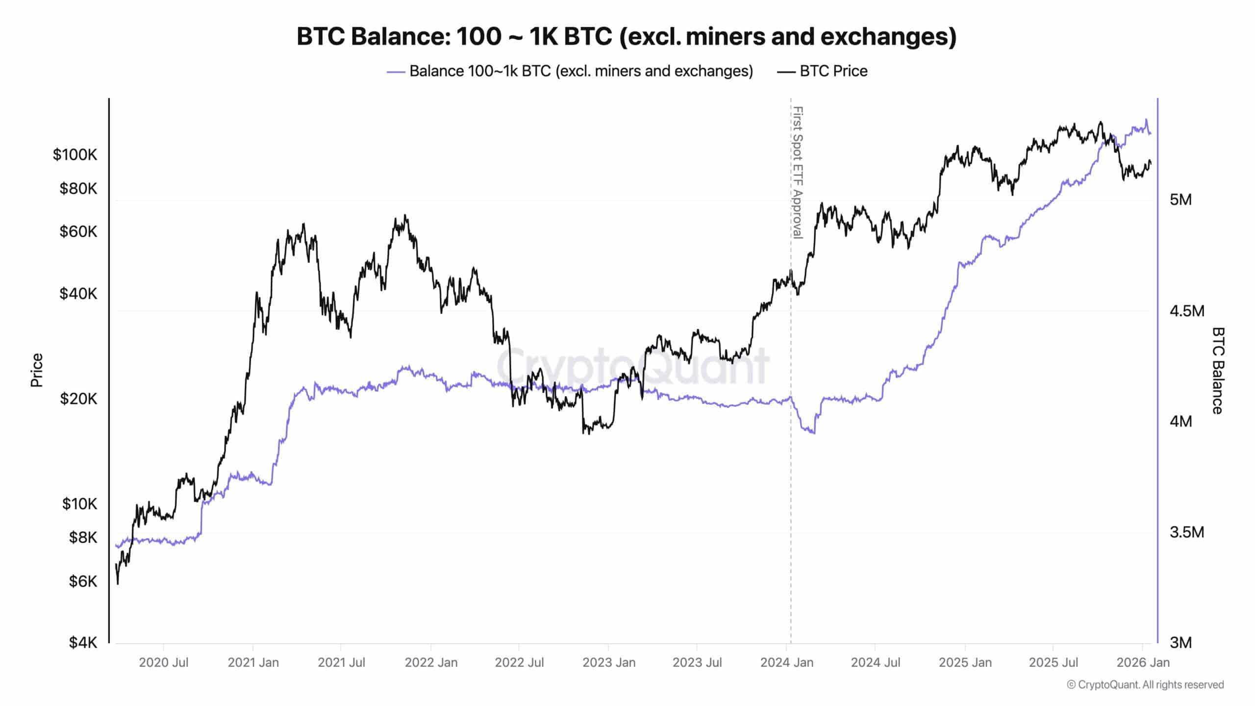 Bitcoin institutional inflow