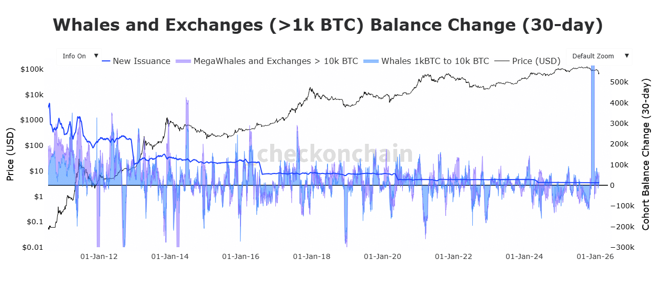 Bitcoin whales to exchange balance change