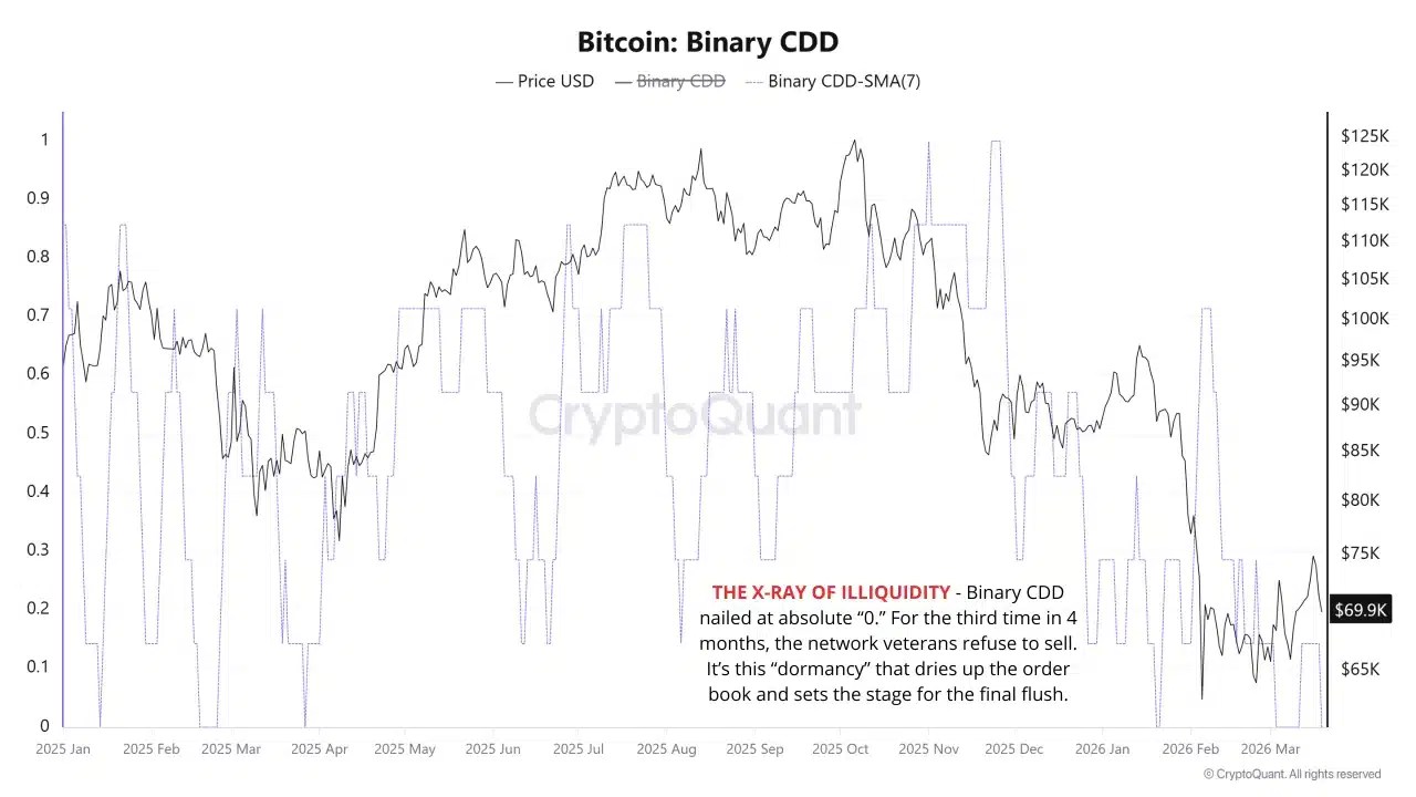 Bitcoin Binary CDD