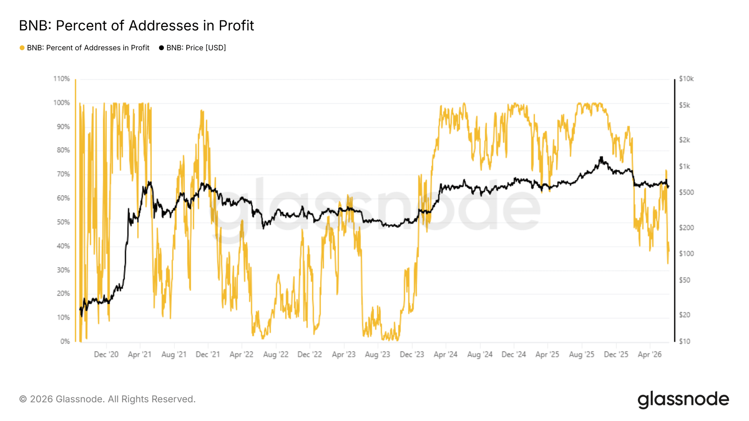 Adresses en pourcentage de BNB dans le profit
