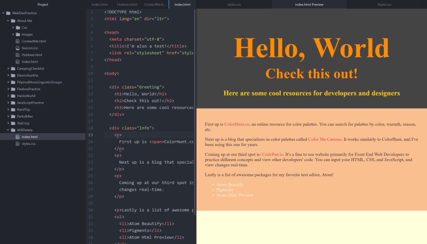 My Web Dev Blog A Place To Share My Thoughts Problems Solutions And Overall Progress In Becoming A Web Developer