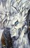 Rugal