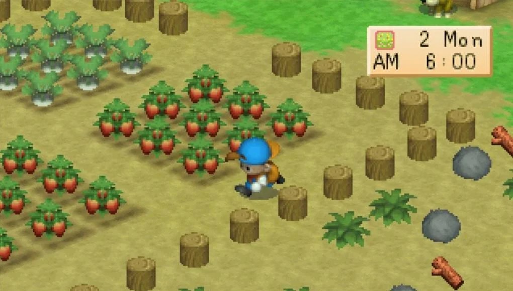 5 Hal di Harvest Moon: Back to Nature yang Tidak Pernah Terlupakan | Dunia  Games