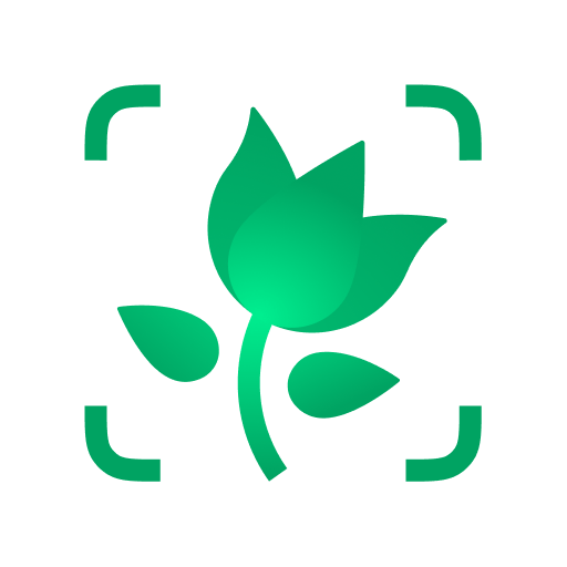 Img 6177 Ico.png