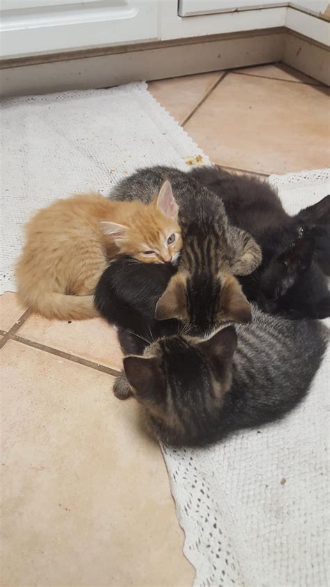 Milena grace onlyfans leaked