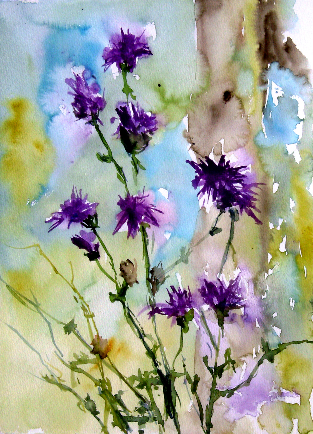 Blumenwiese Fur Malen Bei Mir Aquarellestark