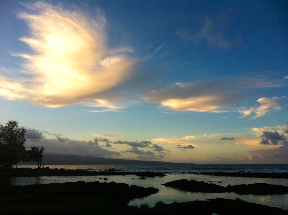 Bird cloud wallpaper