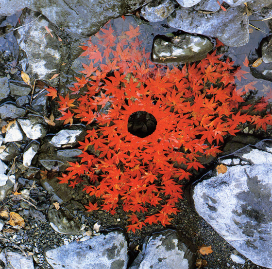 20 Gems Of Site Specific Land Art The Art Resort