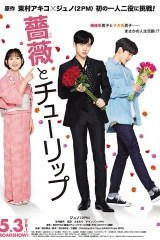 فيلم Rose And Tulip / ورد وخزامي 2020