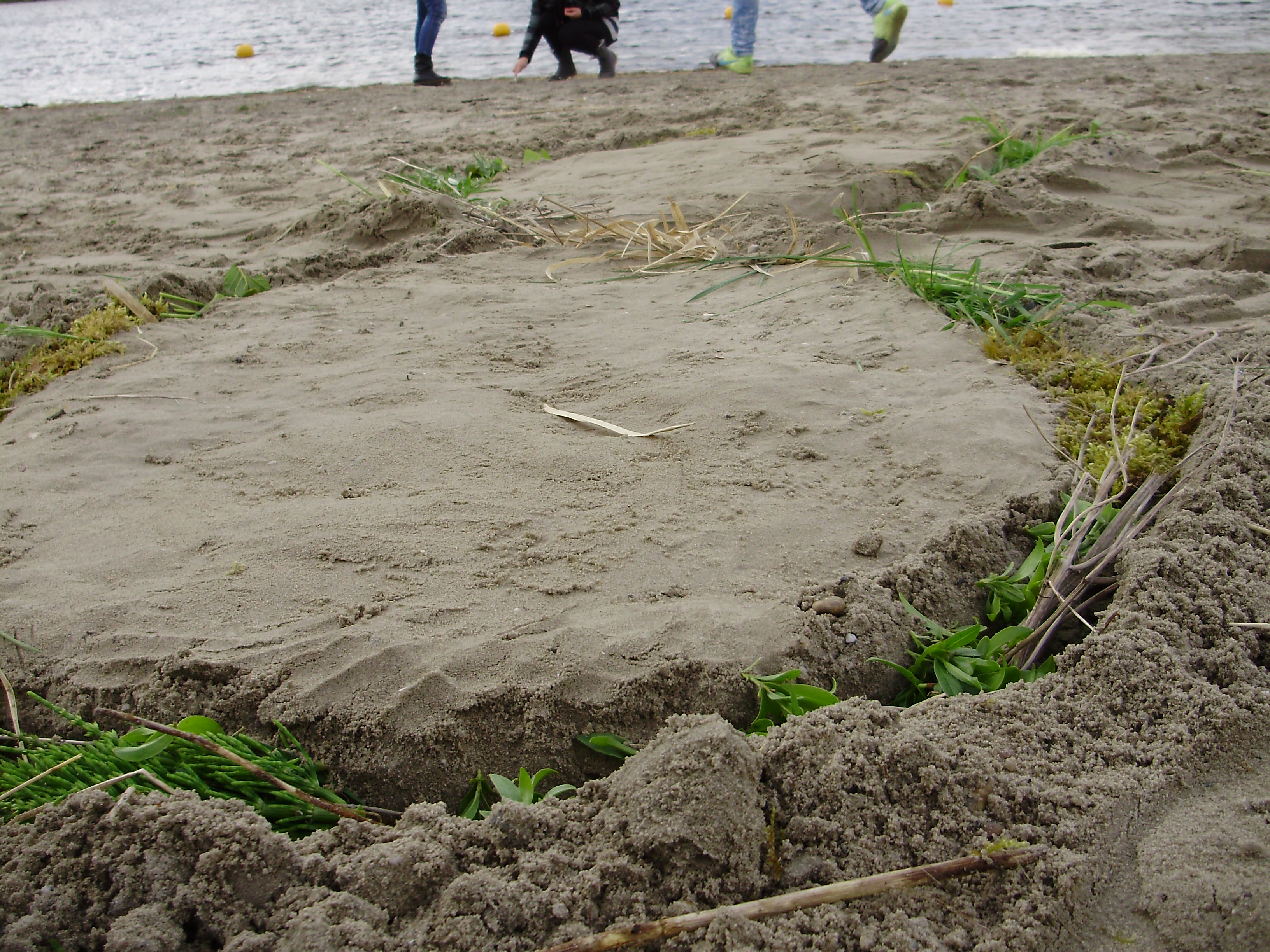 Cp Land Art Asjatje