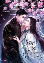 I Became the Emperor’s Hated Male Concubine