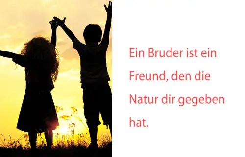 Die Schönsten Geschwister Sprüche 321_x_500_webp