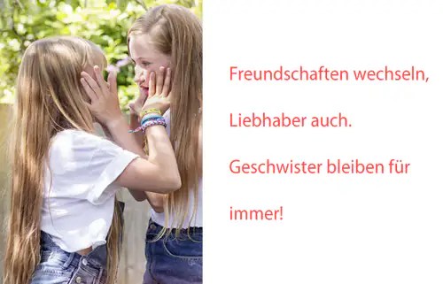 Die Schönsten Geschwister Sprüche 321_x_500_webp