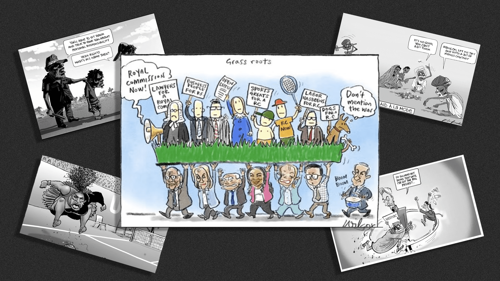 What does it take for a cartoon to breach press council standards?