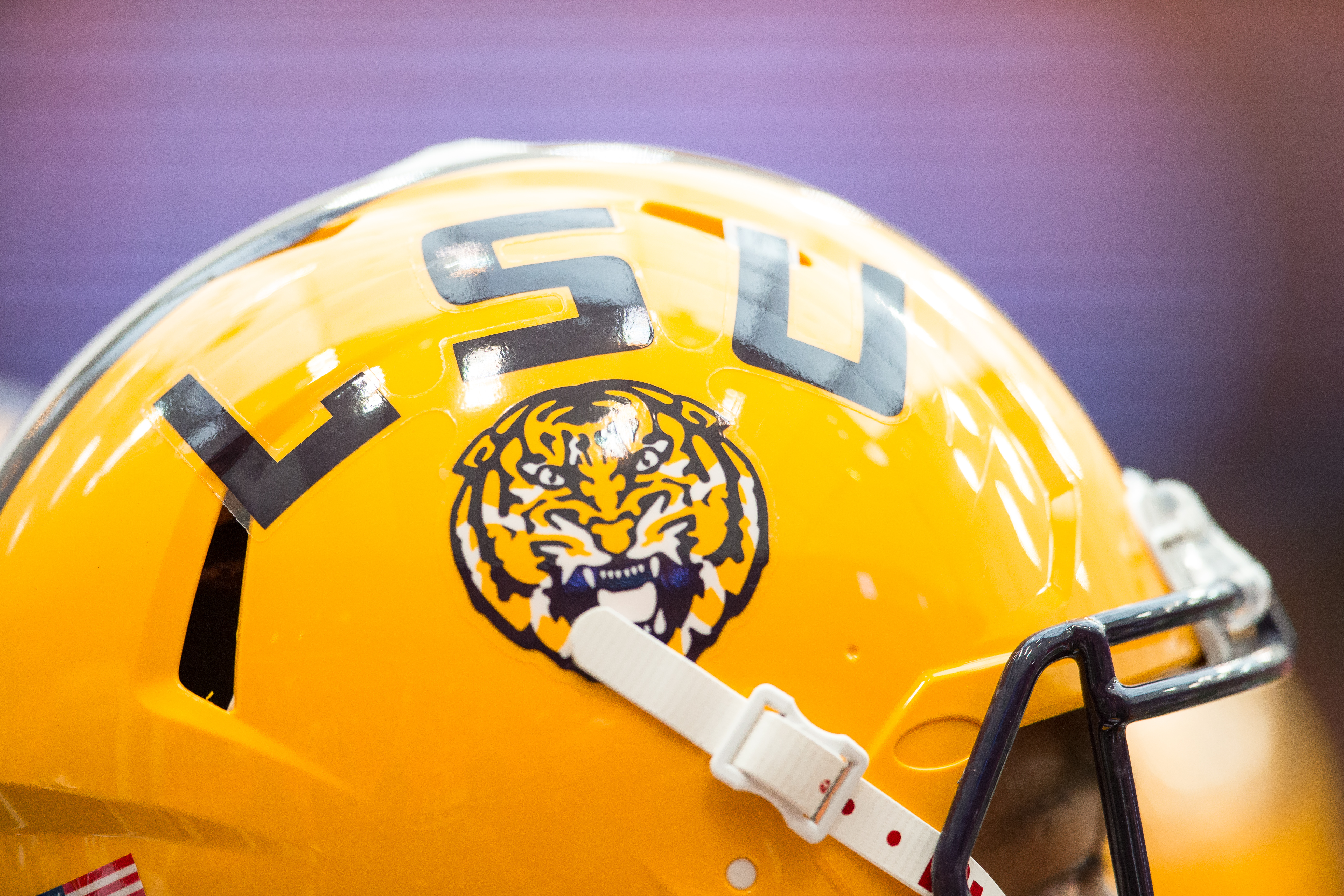 LSU makes decision on using ex-NFL players in season opener