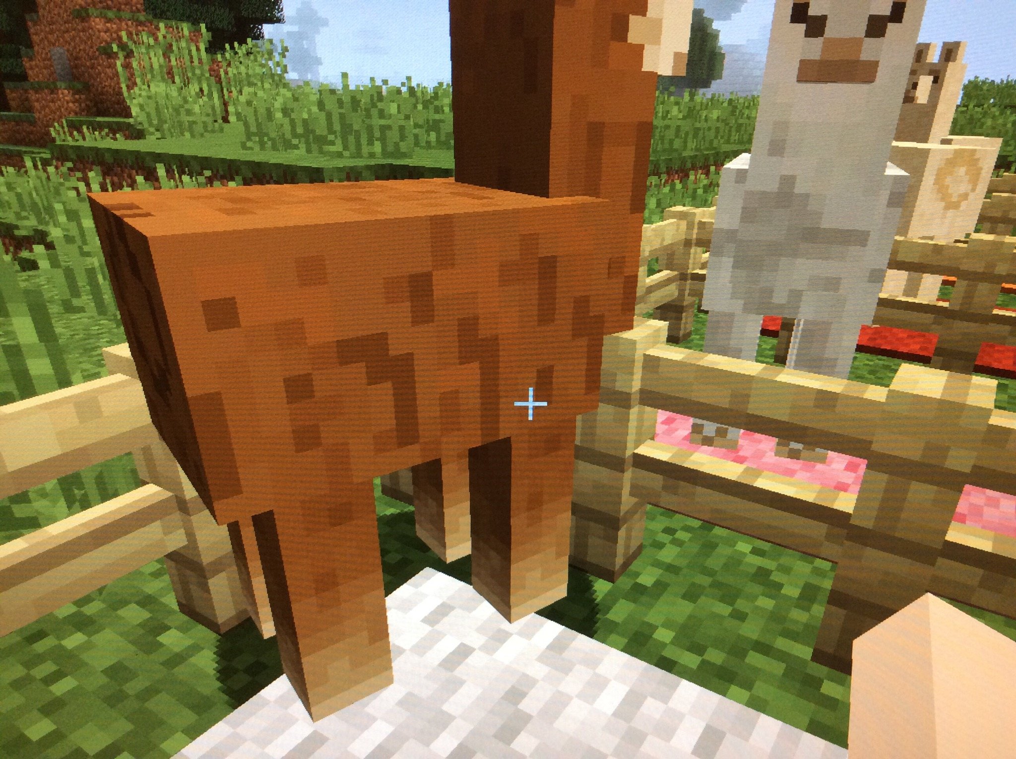 How To Tame Llamas In Minecraft