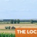 Why the Swiss will vote on the country’s vital food needs