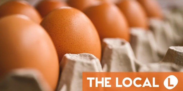 What does the ‘bio’ label on foods in Switzerland really mean?