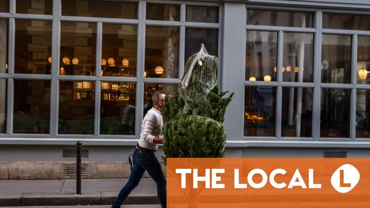 Where to get a real Christmas tree in Spain