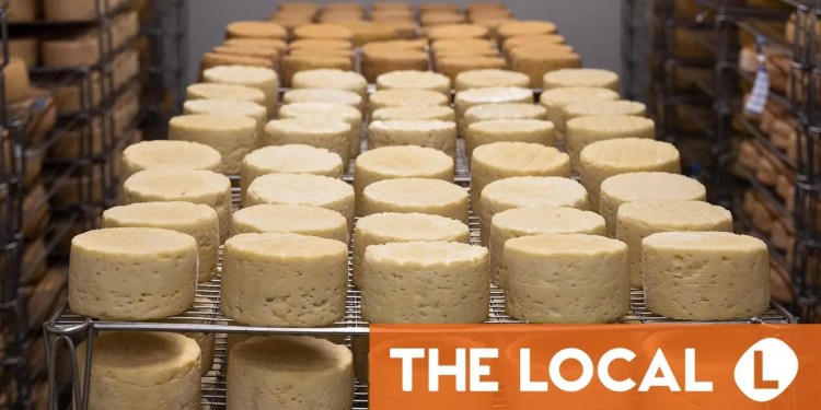 How is climate change impacting Swiss Alpine cheese? How is climate change impacting Swiss Alpine cheese?