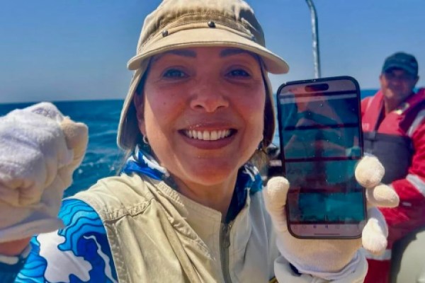 Quest for Queen Cleopatra’s lost tomb reveals a sunken ancient Egyptian harbor Quest for Queen Cleopatra’s lost tomb reveals a sunken ancient Egyptian harbor