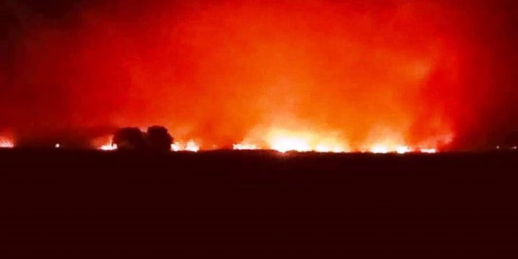 ஆற்றுப்படுகையில் மீண்டும் தீ பரவல்!